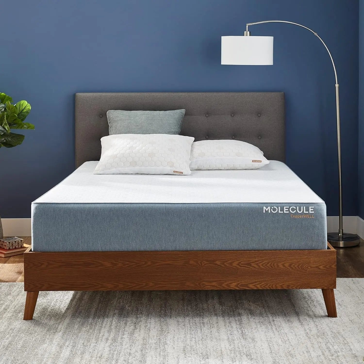 Molecule Mattress Reviews image