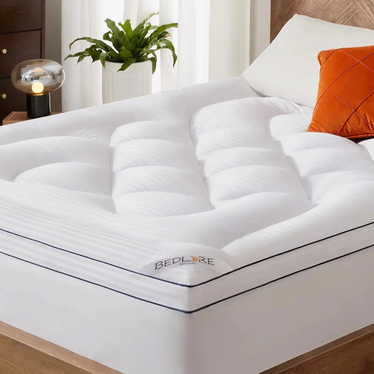 BEDLORE Mattress Reviews image