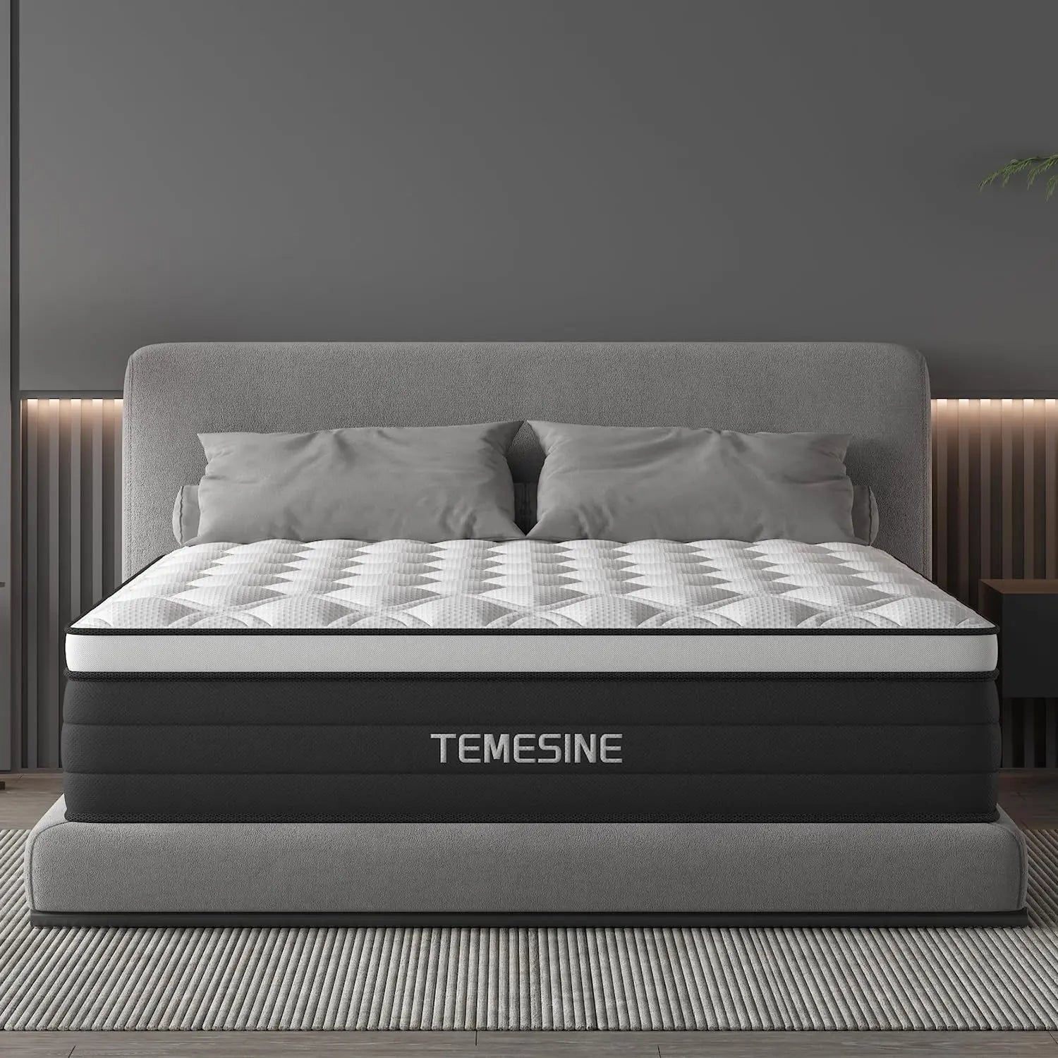 TEMESINE Mattress Reviews image