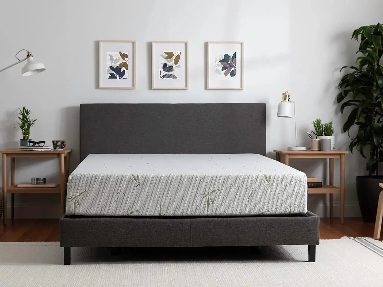 Tulo Mattress Reviews image