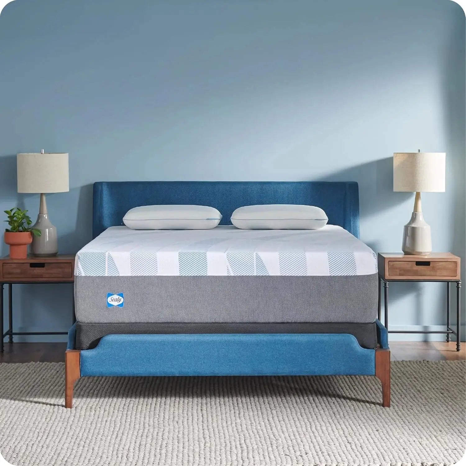 Sealy Mattress Review image