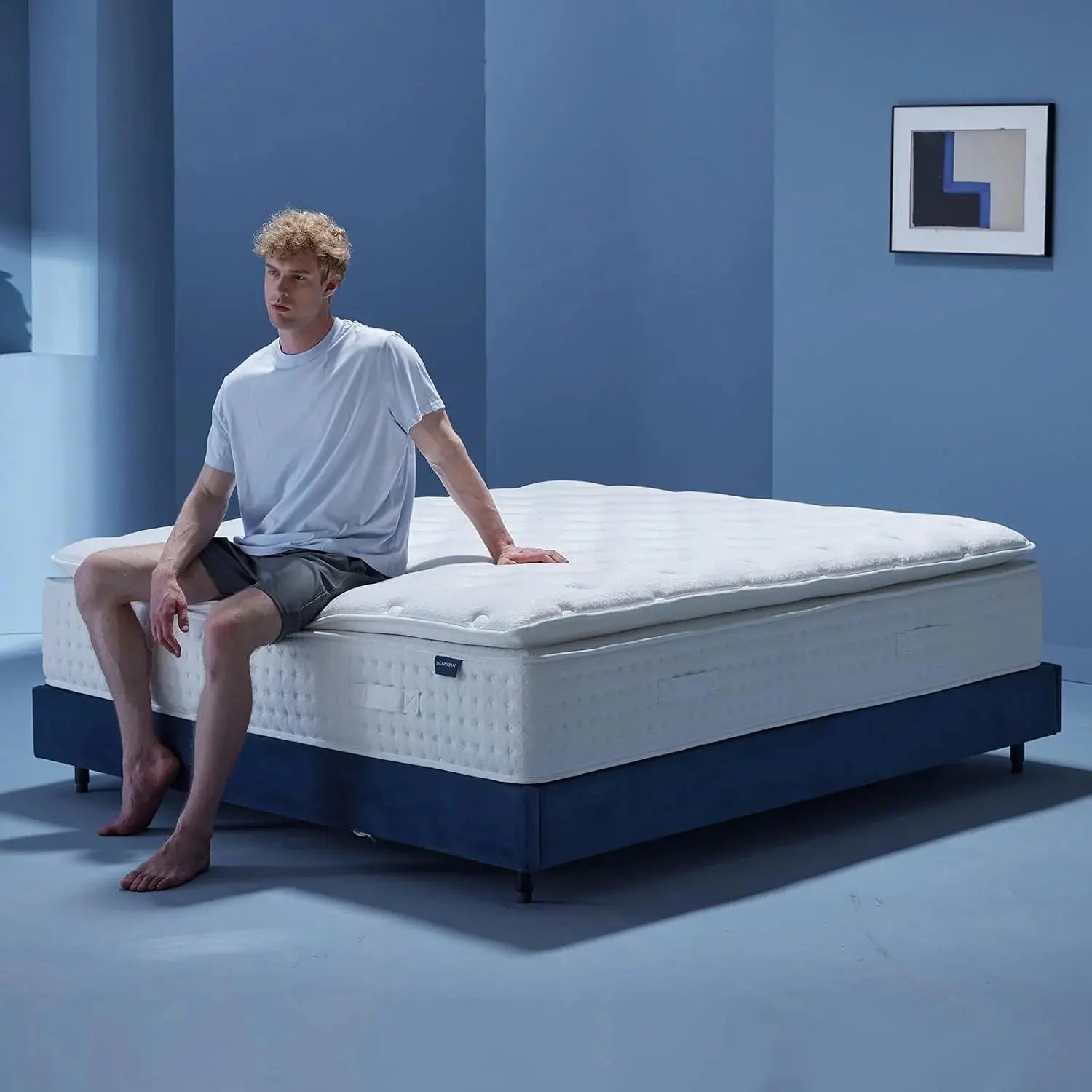 INCEPDREAM Mattress Reviews image