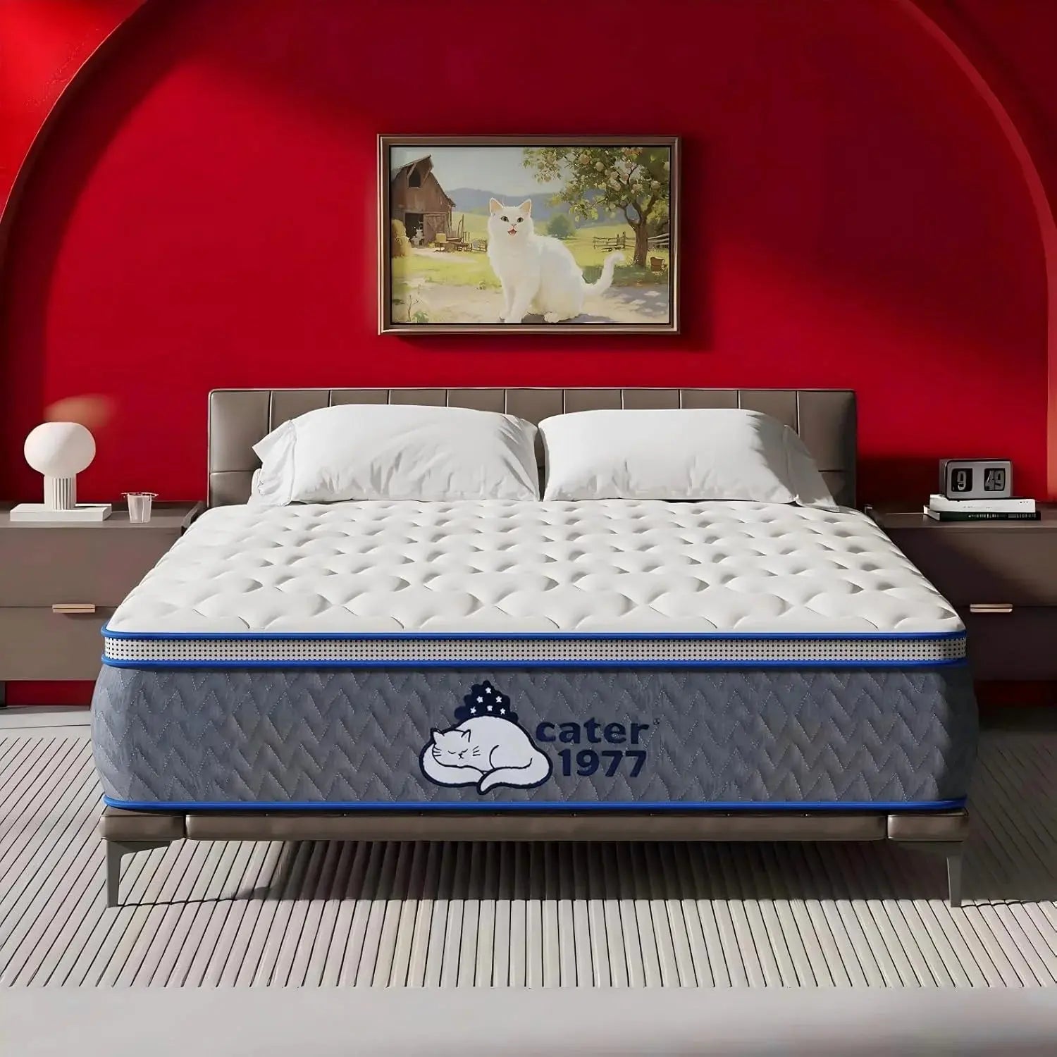 Cater1977 Mattress Reviews image