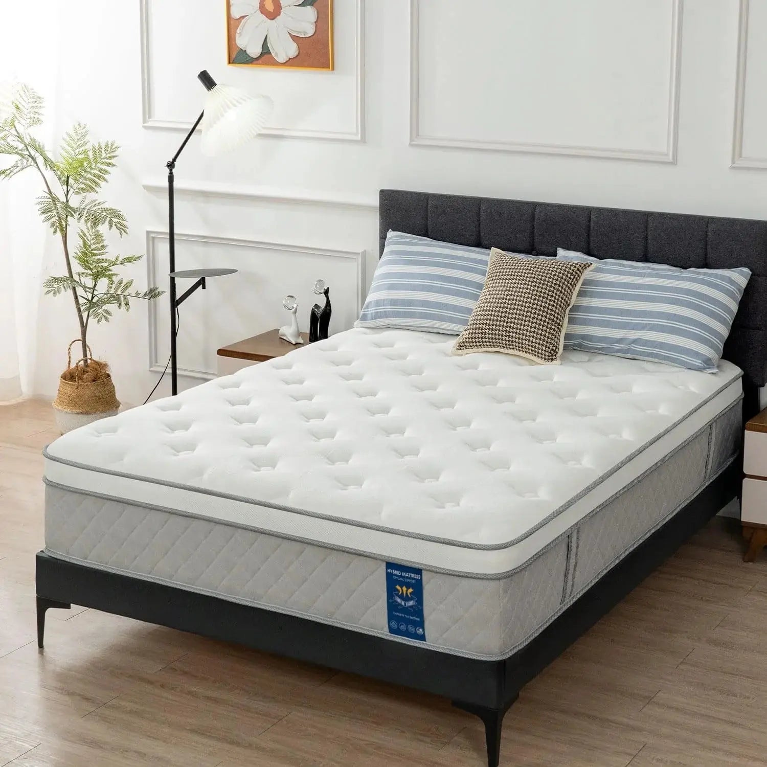 Marine Moon Mattress Reviews image
