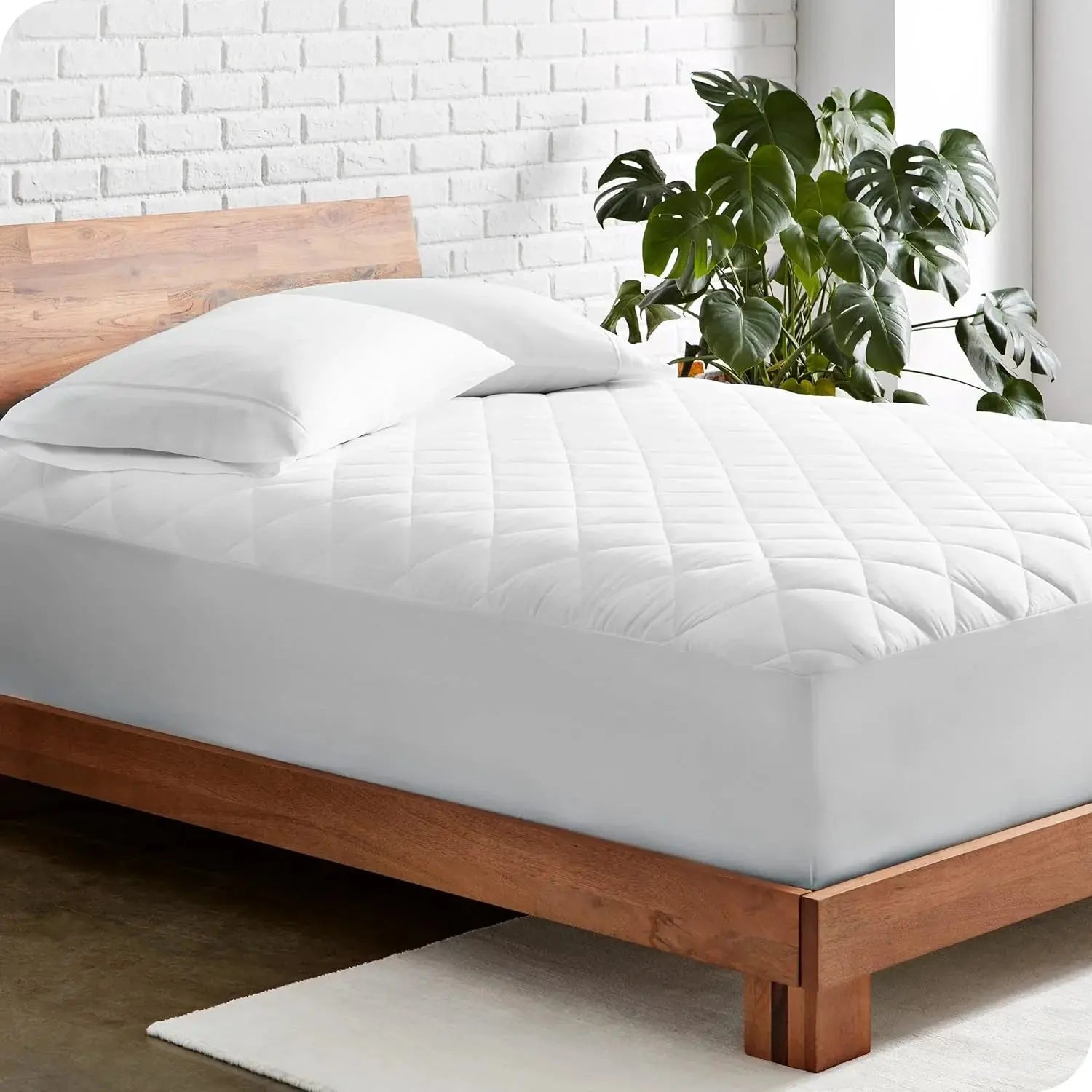 Bare Home Mattress Reviews image